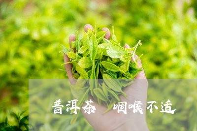 普洱茶 咽喉不适/2023041018461